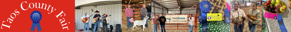 taoscountyfair